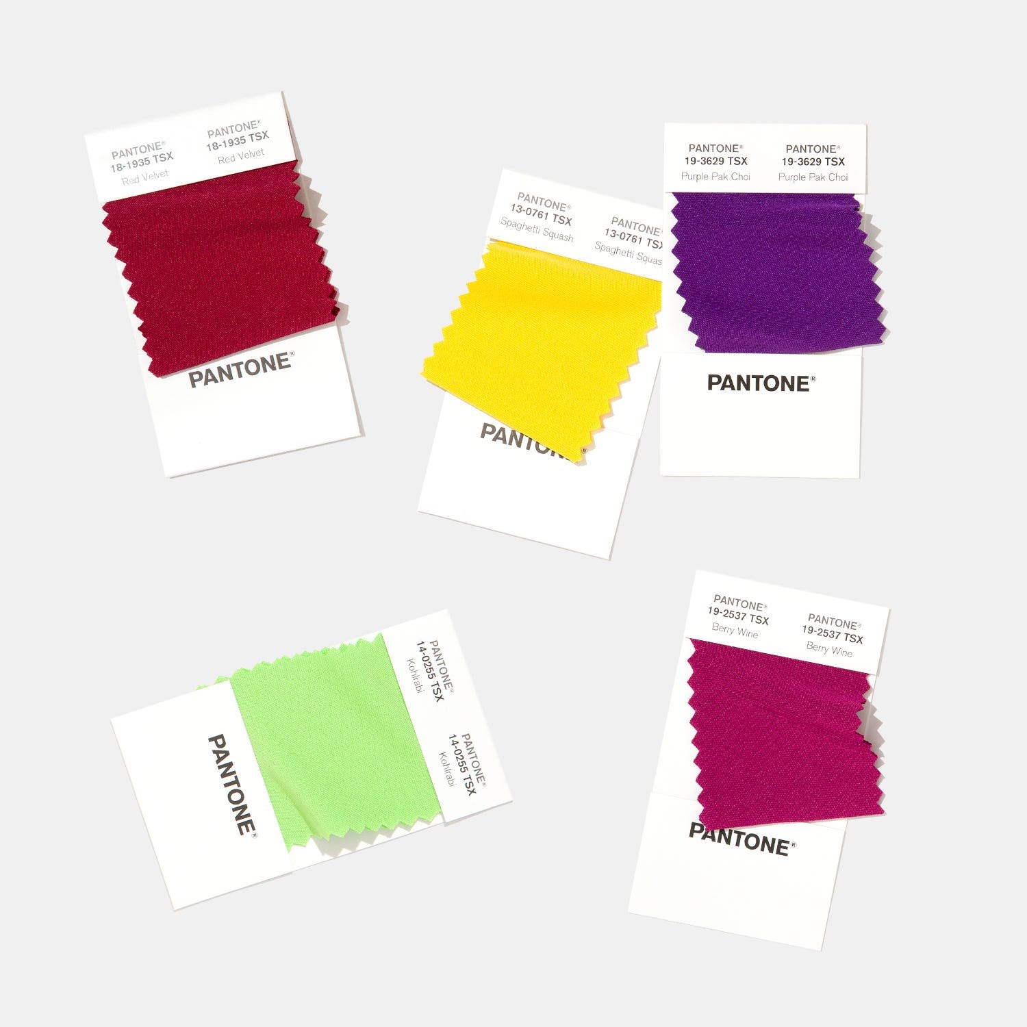 PANTONE Fashion & Home Polyester Swatch Book 