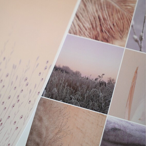 THJS Cover INSIGHT FW 22-23