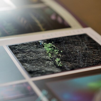 THJS Cover Interior FW 21-22 & Christmas