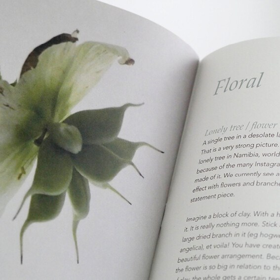 THJS Cover INSIGHT SS 22