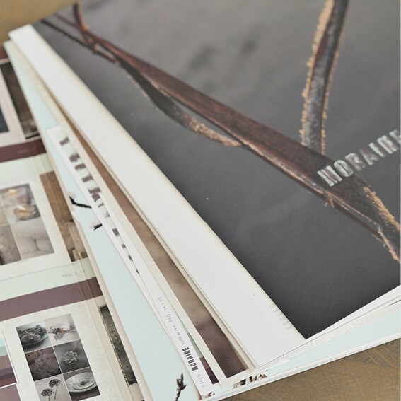 THJS Cover INSIGHT SS 22