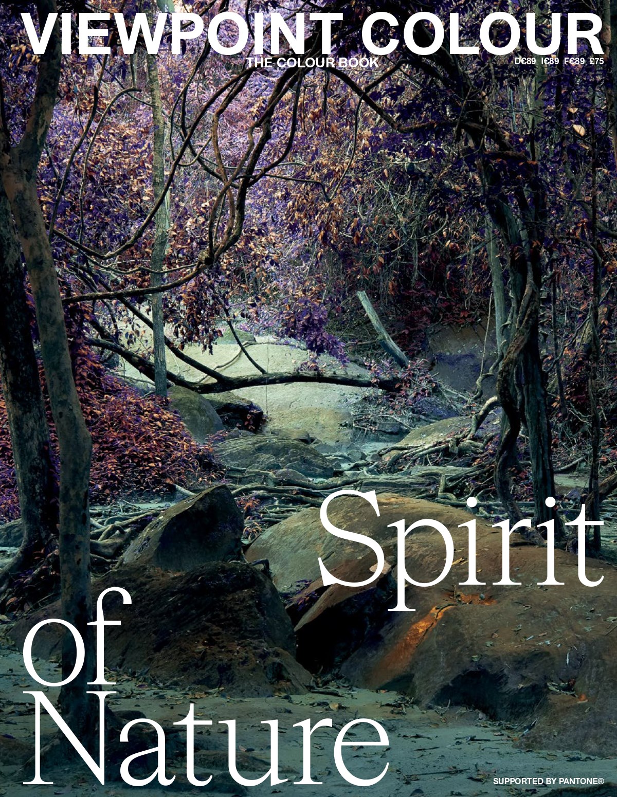 Viewpoint Colour no. 09