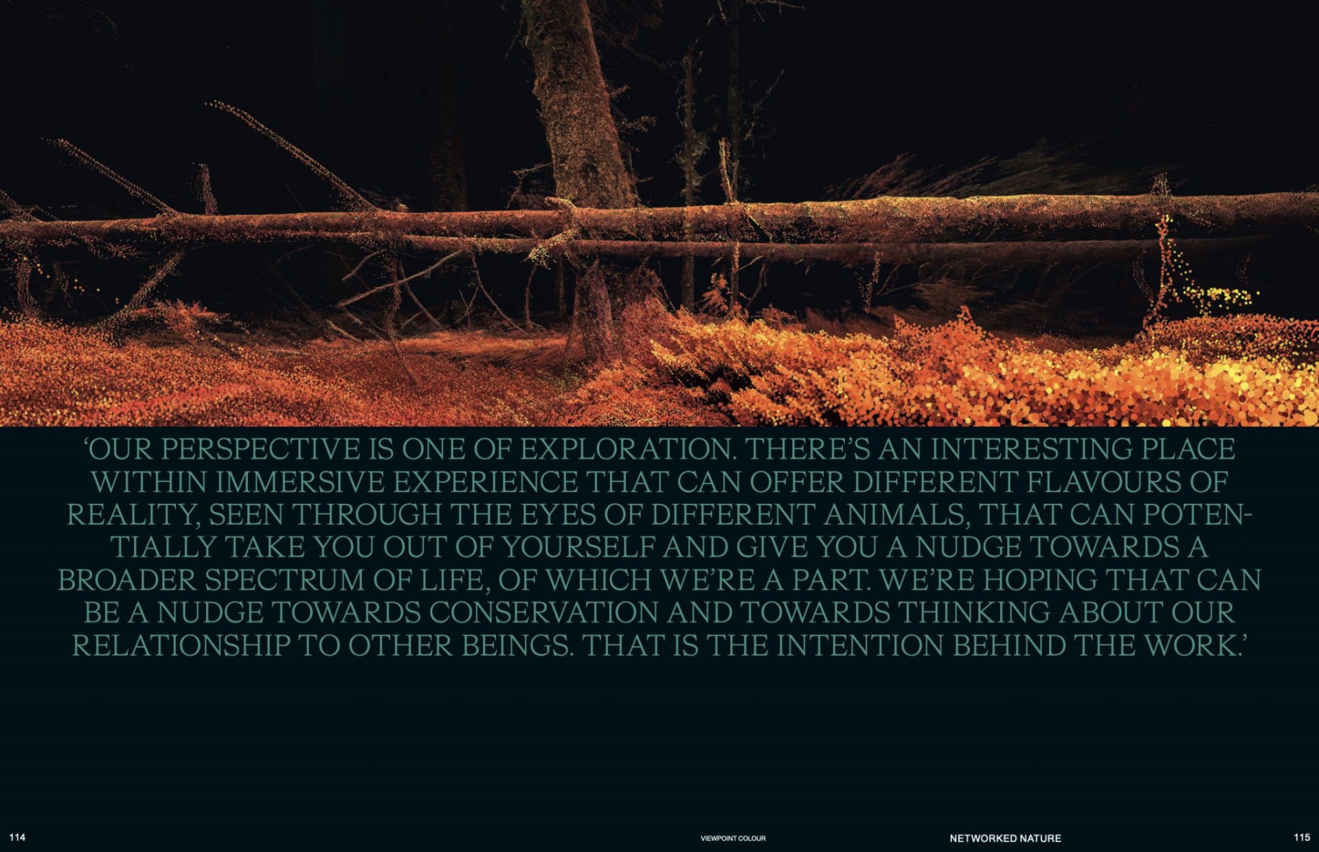 Viewpoint Colour no. 09