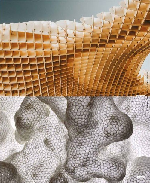 Trendhouse Casual & Athleisure  SS 23