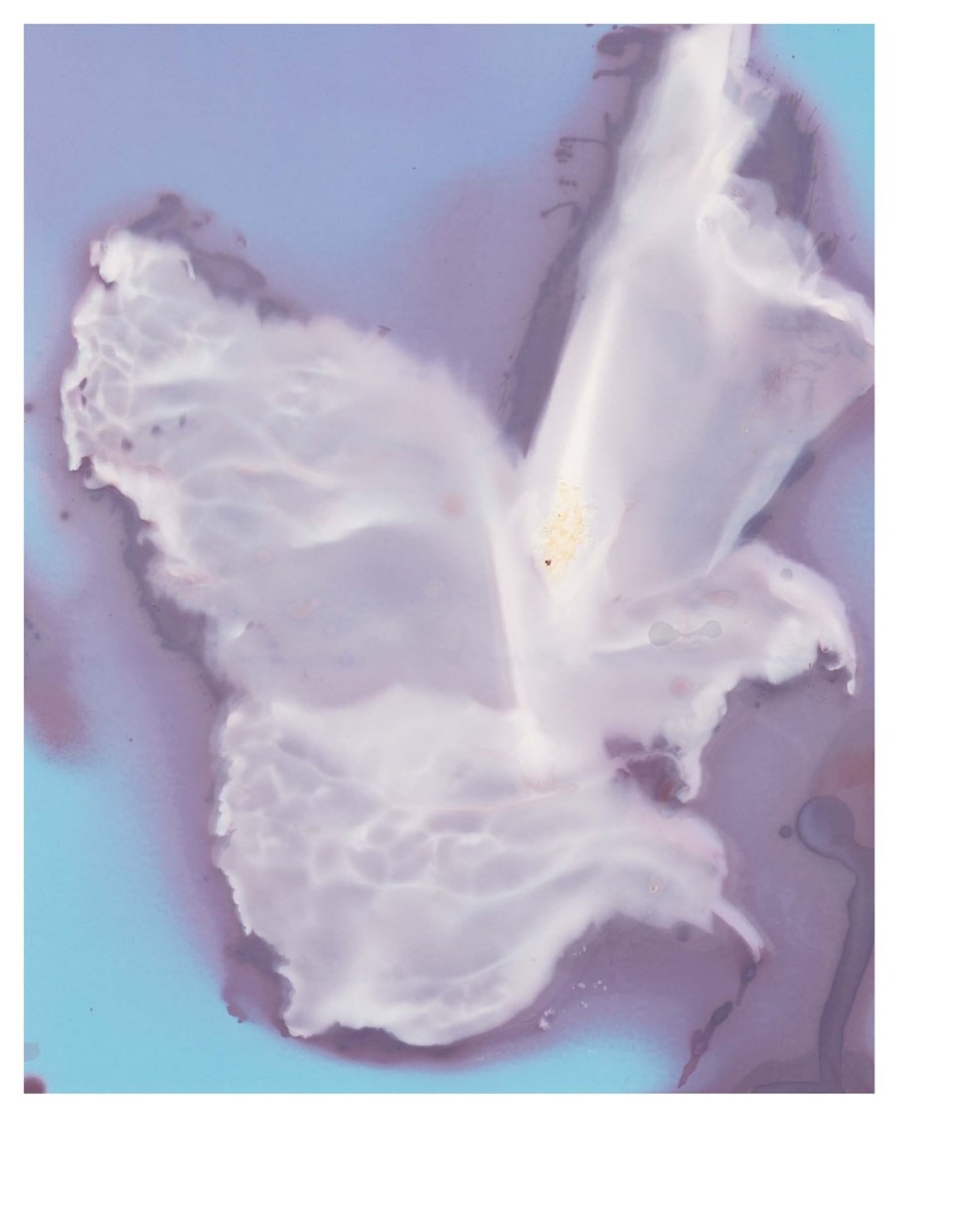 Viewpoint Colour no. 10