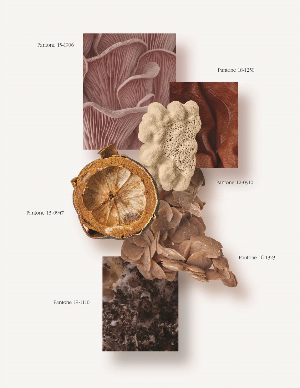 Viewpoint Colour no. 10